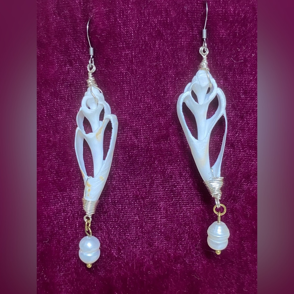 Seashell earrings